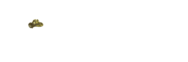 Ape Ventures